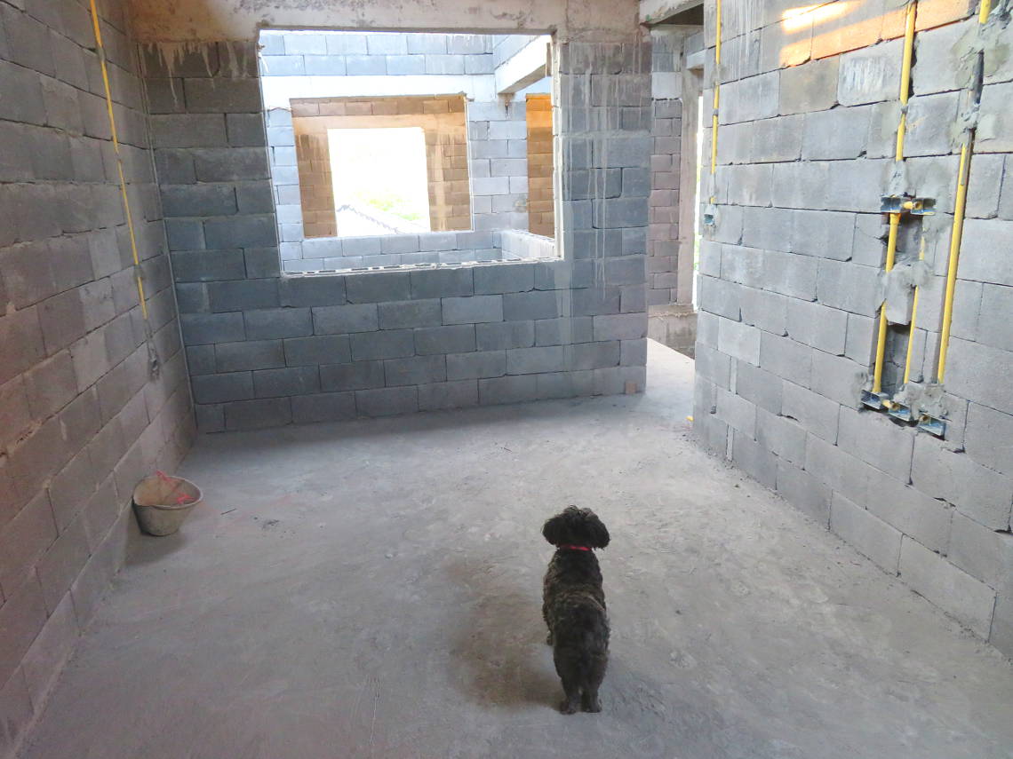 Hunden Pandi går en runda på vårt dåvarande bygge Pandi går en runda på bygget
