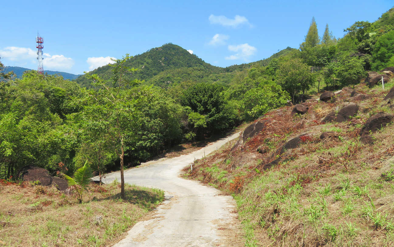 Walking in beautiful natural surroundings is good for the soul. Power walking in beautiful natural surroundings is refreshing for both body and mind.