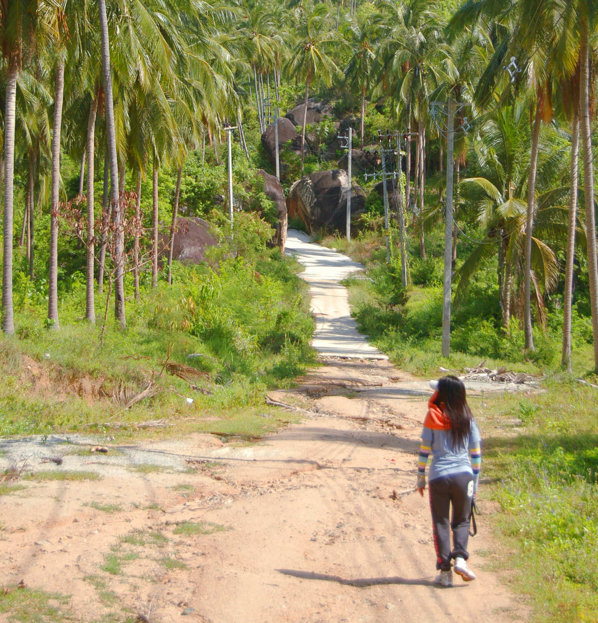 Aom walking among the coconut palms on Koh Samui. Aom enjoying a brisk walk among the coconut palms on Koh Samui.